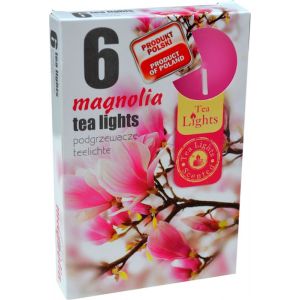 Lumanari pastila parfumate magnolie LP6447 6/set