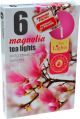 Lumanari pastila parfumate magnolie LP6447 6/set